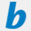 bellin.org
