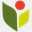 greendayeurope.com