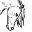 dcerinc.org