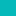 dentatray.org