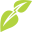nutteabar.com