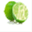 saidc.net