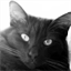 fatchan.net