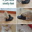 caturday.1000notes.com