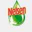 nepss.net