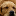 psgoodnight.com