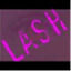 lashesque.com