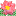 rosovazora.com