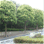 serviceaebisu.wordpress.com