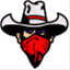 theoutlawcorporation.com