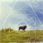 secretgeometry.bandcamp.com