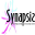 synapsisrc.it
