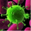 manuellabio2.wordpress.com