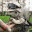 bullogger.wordpress.com
