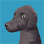 silverrat.net