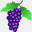 bacchuswinetours.com