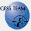 gess-team.com