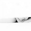 evanandlisa.com