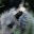 myzooisalife.wordpress.com