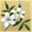 jasmine-tic.com