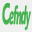 cefndy.com
