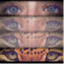 lizzythomson11.wordpress.com