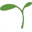 wheatberrydesign.com