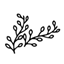 guasax.com
