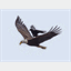 havalmurad.com