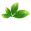 growsaskatoon.com