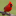 bird-feeder-plans.org