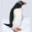 entropycs.net