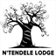 ntendele.com
