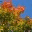 adamg1975.wordpress.com