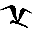volucris.net
