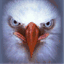 acm-airbrush.de