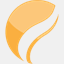 rocktreefinancial.com