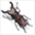 brucethebugguy.net