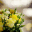 modernfete.wordpress.com