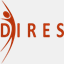 dires.cz