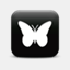 digitalpollinators.com