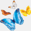 mac44.net