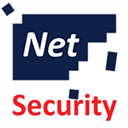 netsecurity.com.br