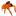 jumpingspider.com.au