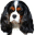 thyholmscavalier.dk
