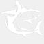 clearshark.com