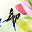 springbyrachel.com