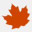 maple-webdesign.cz