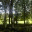 josephsgallery.wordpress.com