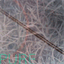 3830.bandcamp.com